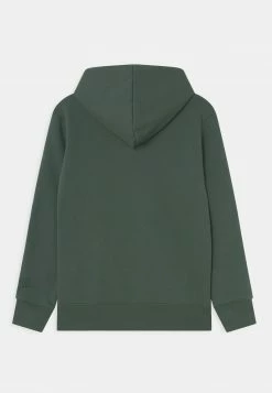 Jordan ESSENTIALS - Jersey Con Capucha - Noble Green , Niños -Jordan Tienda Oficial 4637c56d6a684597899cbda02d0648d8