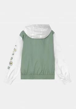 Jordan BOXY FIT ACTIVE - Cortaviento - Light Green, Niños 6 Jordan BOXY FIT ACTIVE - Cortaviento - Light Green, Niños -Jordan Tienda Oficial 72aae12392444bacacc616b71df8befd