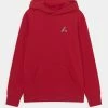 Jordan ESSENTIALS - Jersey Con Capucha - Gym Red , Niños 1 Jordan ESSENTIALS - Jersey Con Capucha - Gym Red , Niños -Jordan Tienda Oficial ea6baf3da8d44dc799949638e4033b13